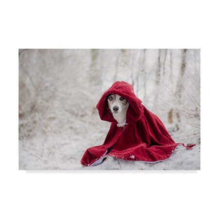 Heike Willers 'Little Red Riding Hood 1' Canvas Art,12x19